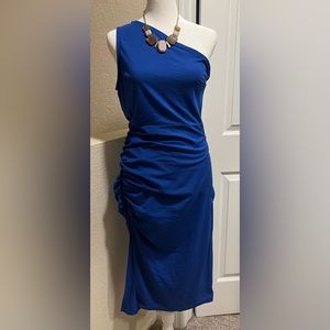 Sarin Mathews L, Blue Womens One Shoulder Ruched Bodycon dress